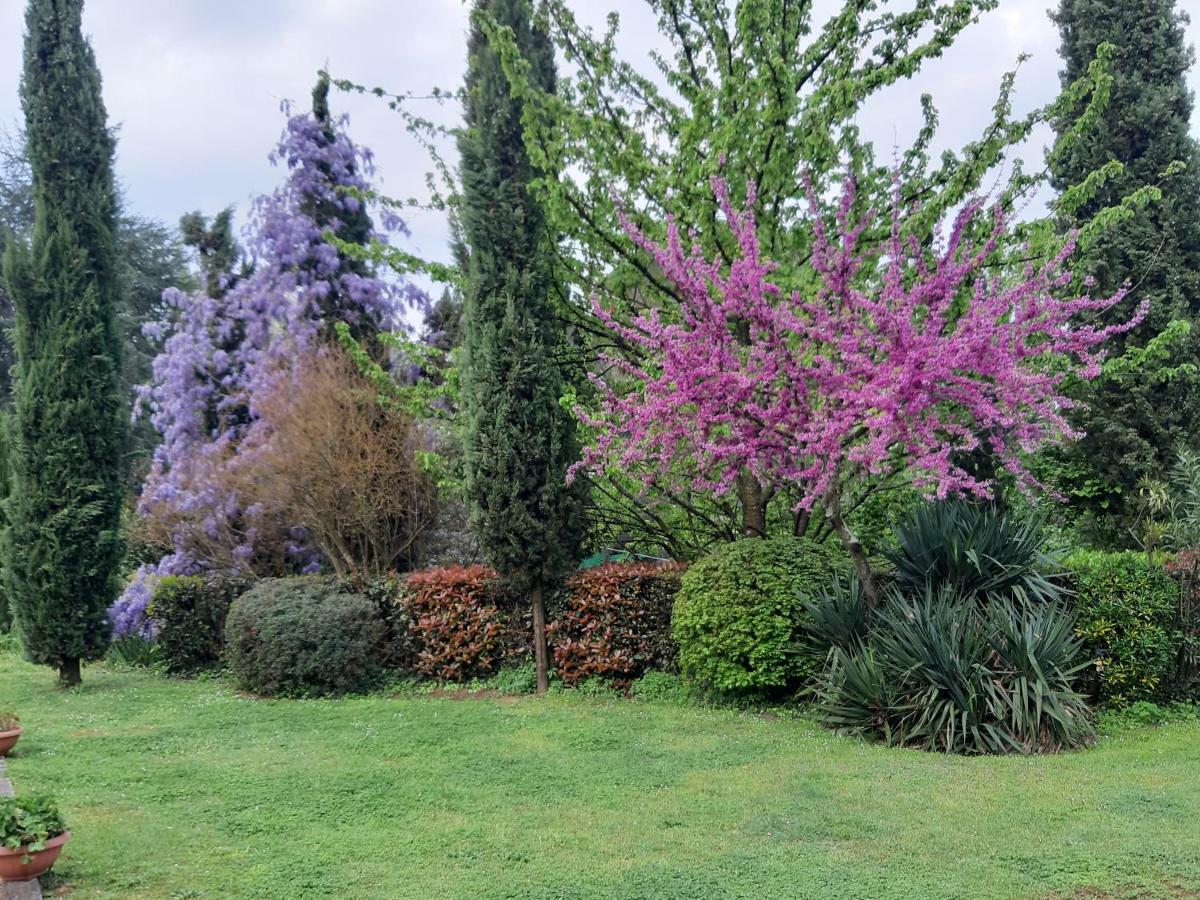 Il Fienile Del Colle Vila Pescia Exterior foto